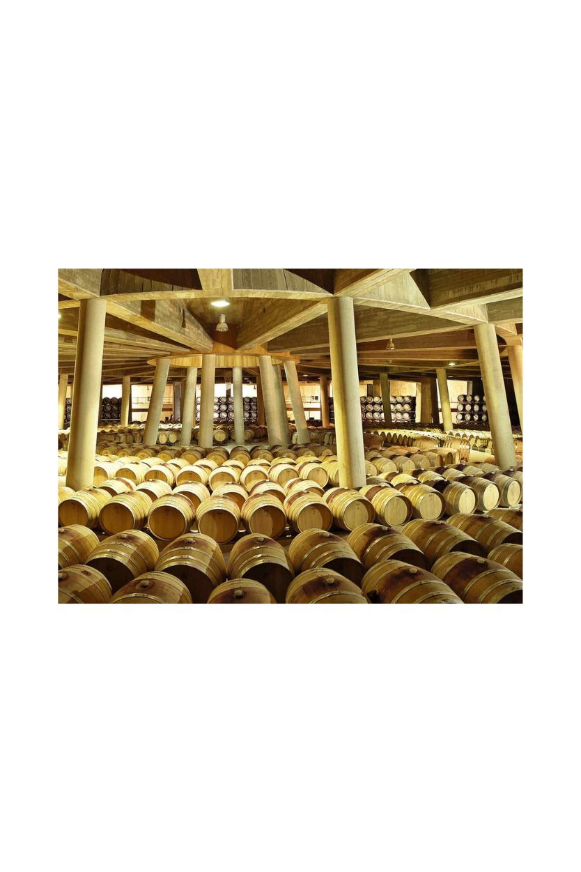 Viña Real Reserva - Imagen 8