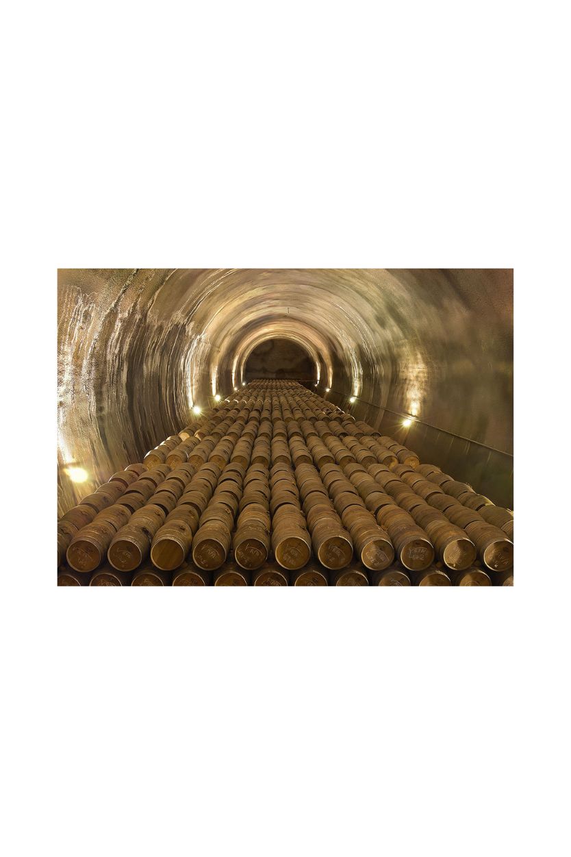 Viña Real Reserva - Imagen 7