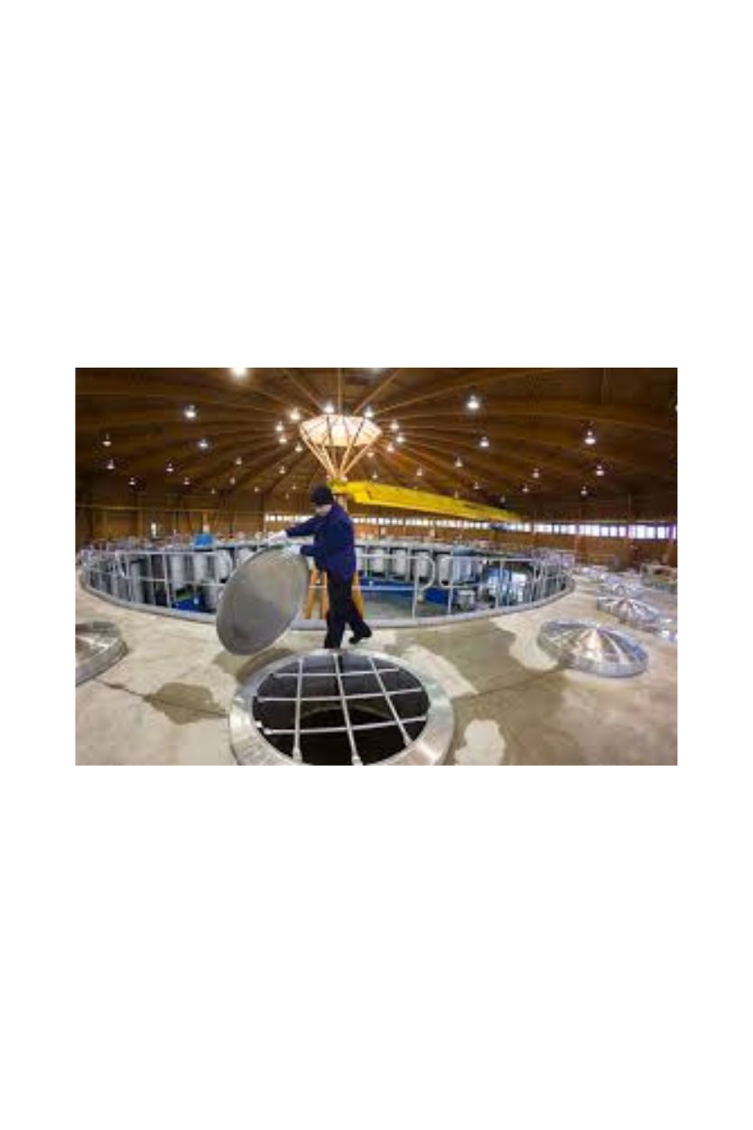 Viña Real Reserva - Imagen 4