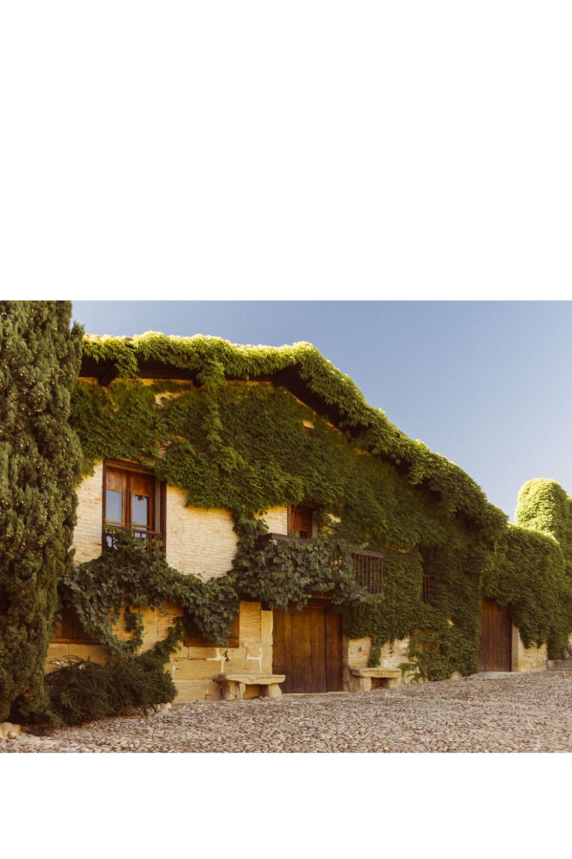 Contino Gran Reserva - Imagen 3