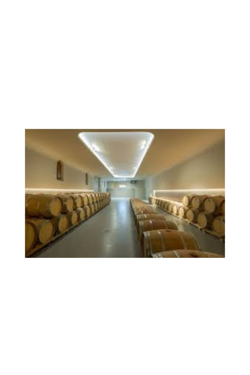 Lore de Ostatu - Imagen 3