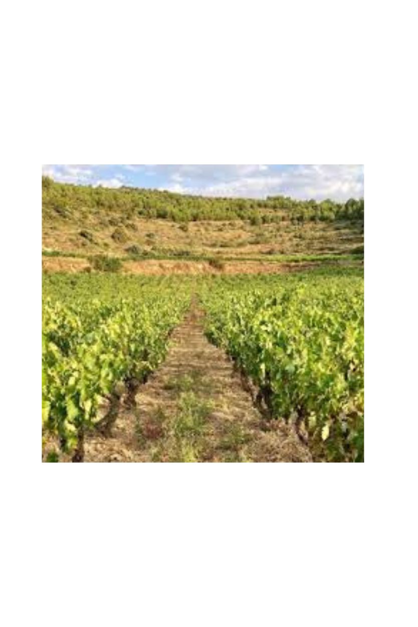 Lore de Ostatu - Imagen 7