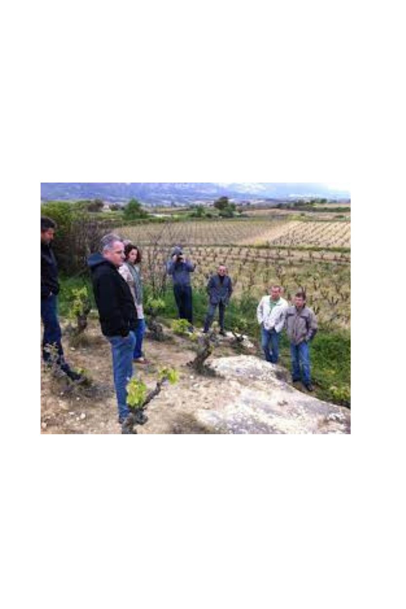 Lore de Ostatu - Imagen 8