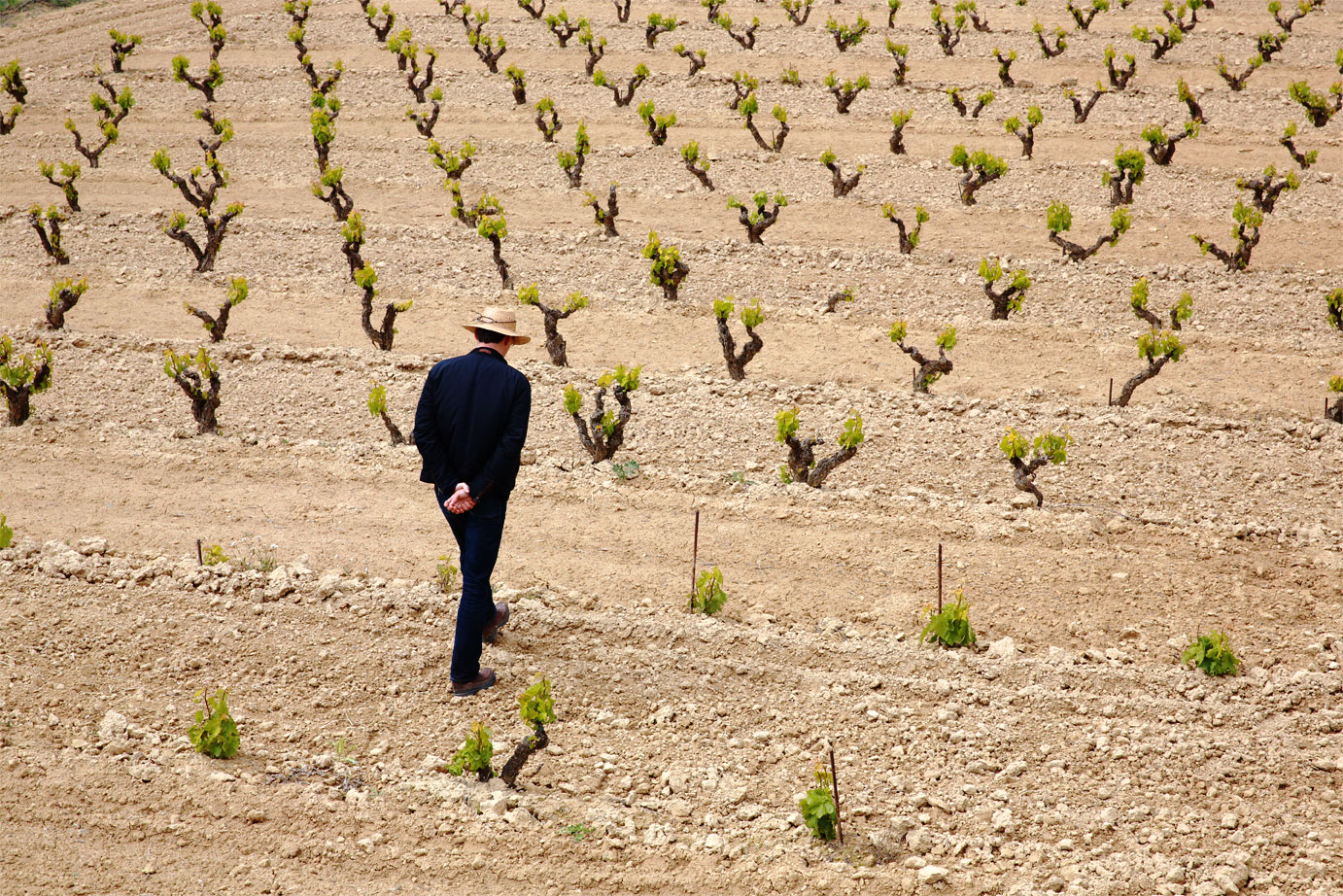 Caminos del Sacramento - Imagen 8
