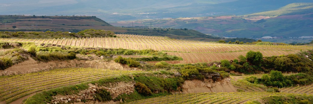 Caminos del Sacramento - Imagen 3