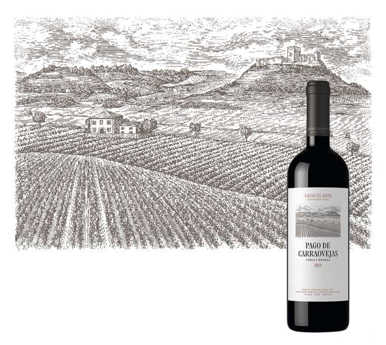 Pago Carraovejas - Imagen 2