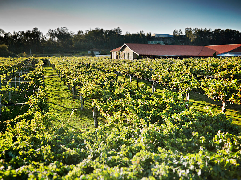 Vizconde Barrantes - Imagen 2