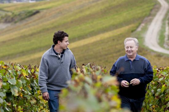 Champagne Gruet Millesime - Imagen 5