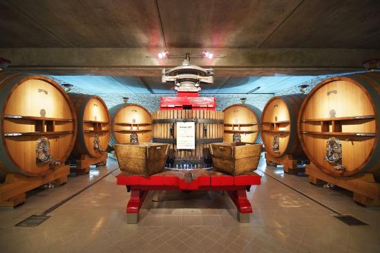 Champagne Gruet Millesime - Imagen 2