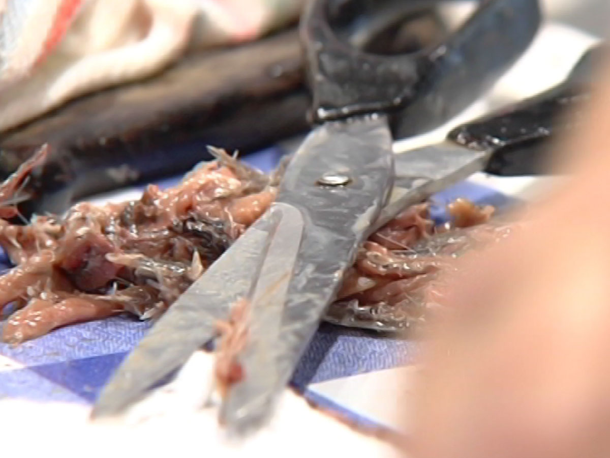 Anchoa Selecta Karmelo Toja - Imagen 4