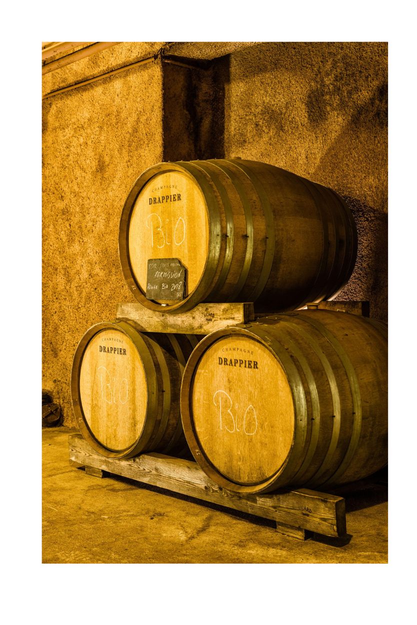 Drappier Brut Nature - Imagen 4