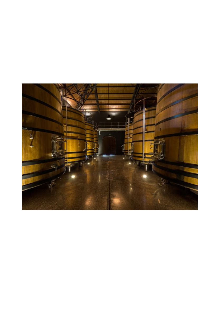 Ramon Bilbao Crianza - Imagen 12