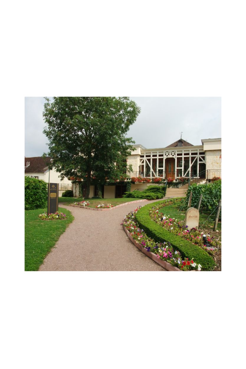 Drappier Brut Nature - Imagen 7