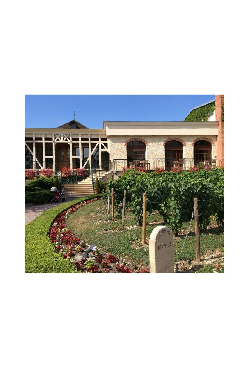 Drappier Brut Nature - Imagen 5