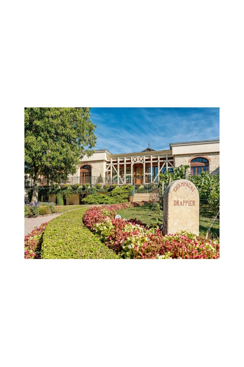 Drappier Brut Nature - Imagen 13