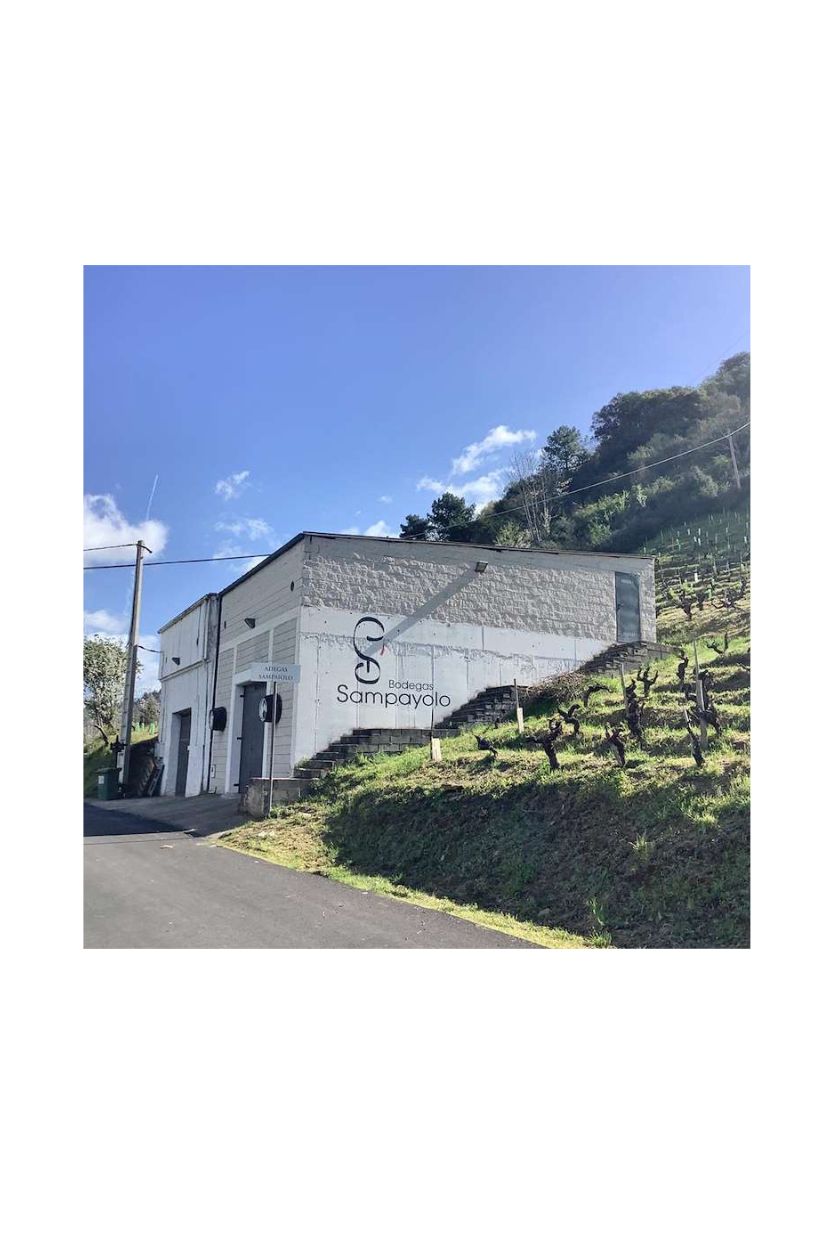 Garnacha Vella da Chaira do Ramiriño - Imagen 2