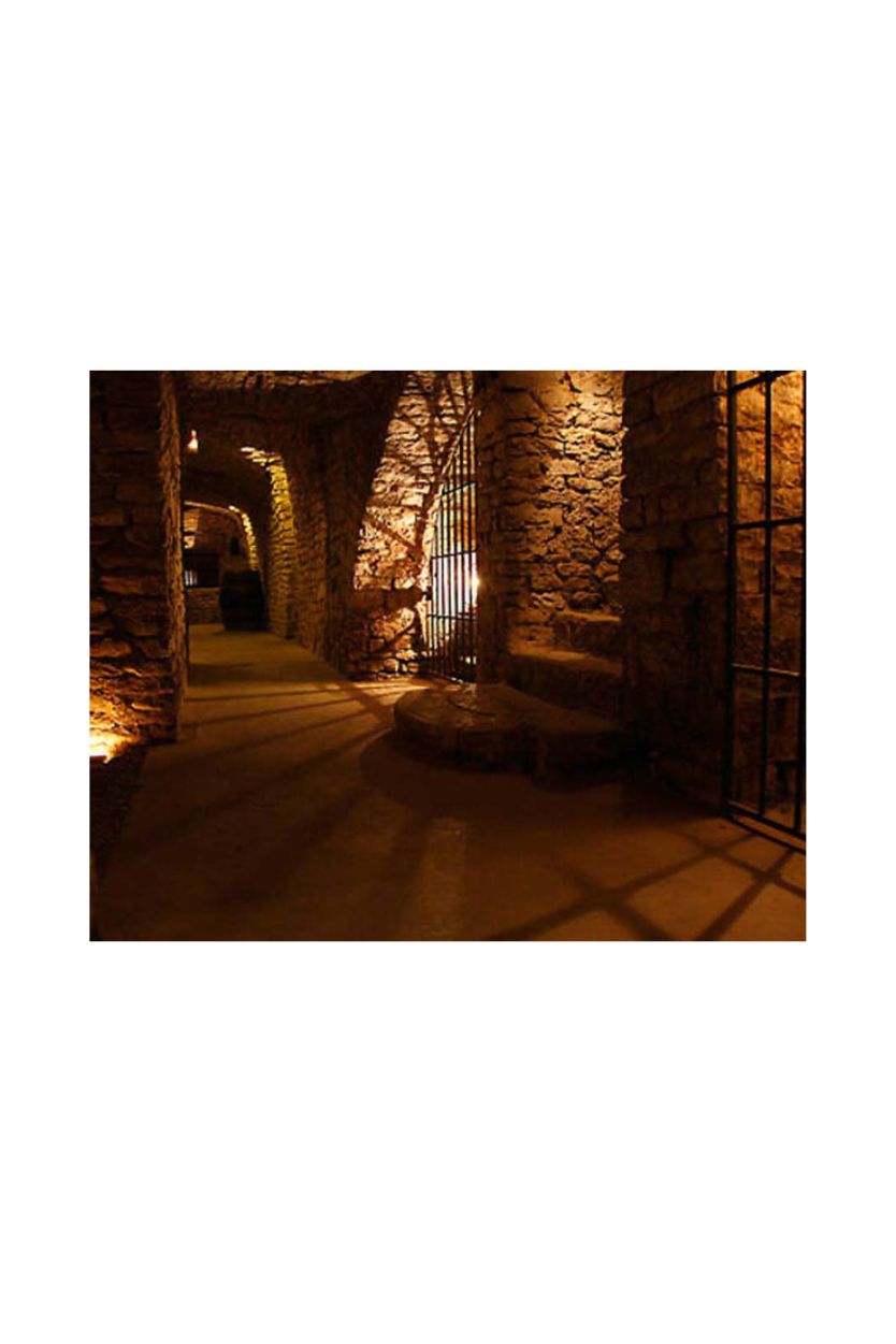 Drappier Brut Nature - Imagen 12