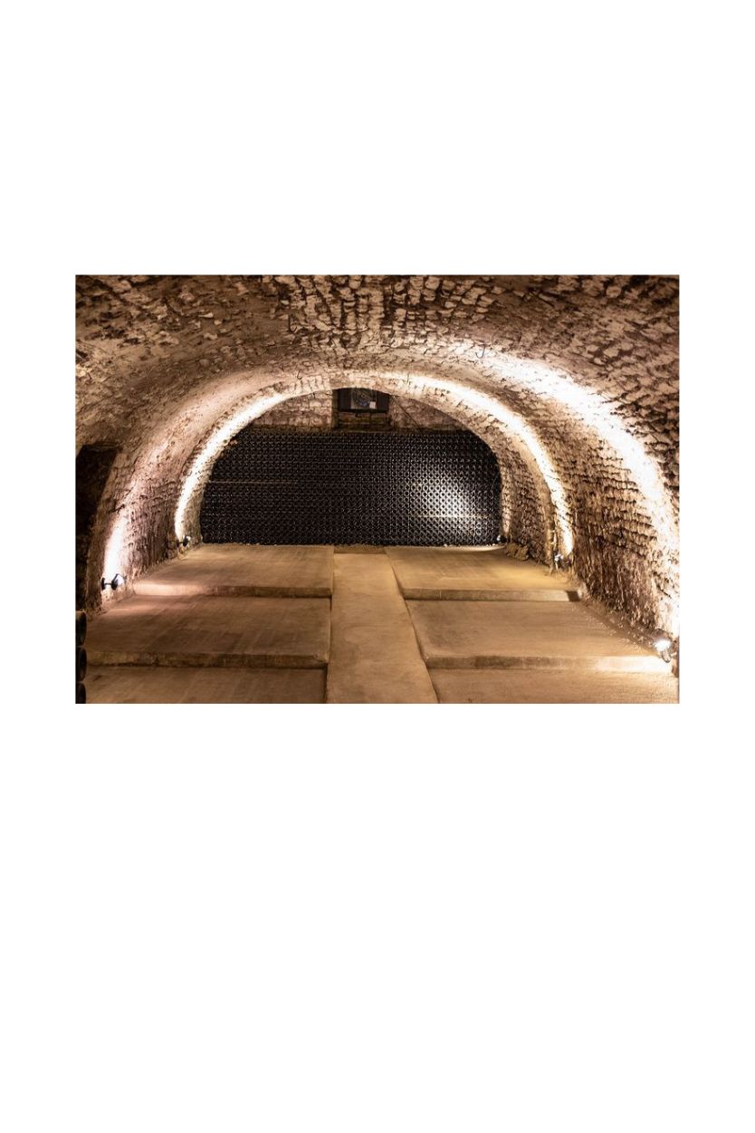 Drappier Brut Nature - Imagen 11