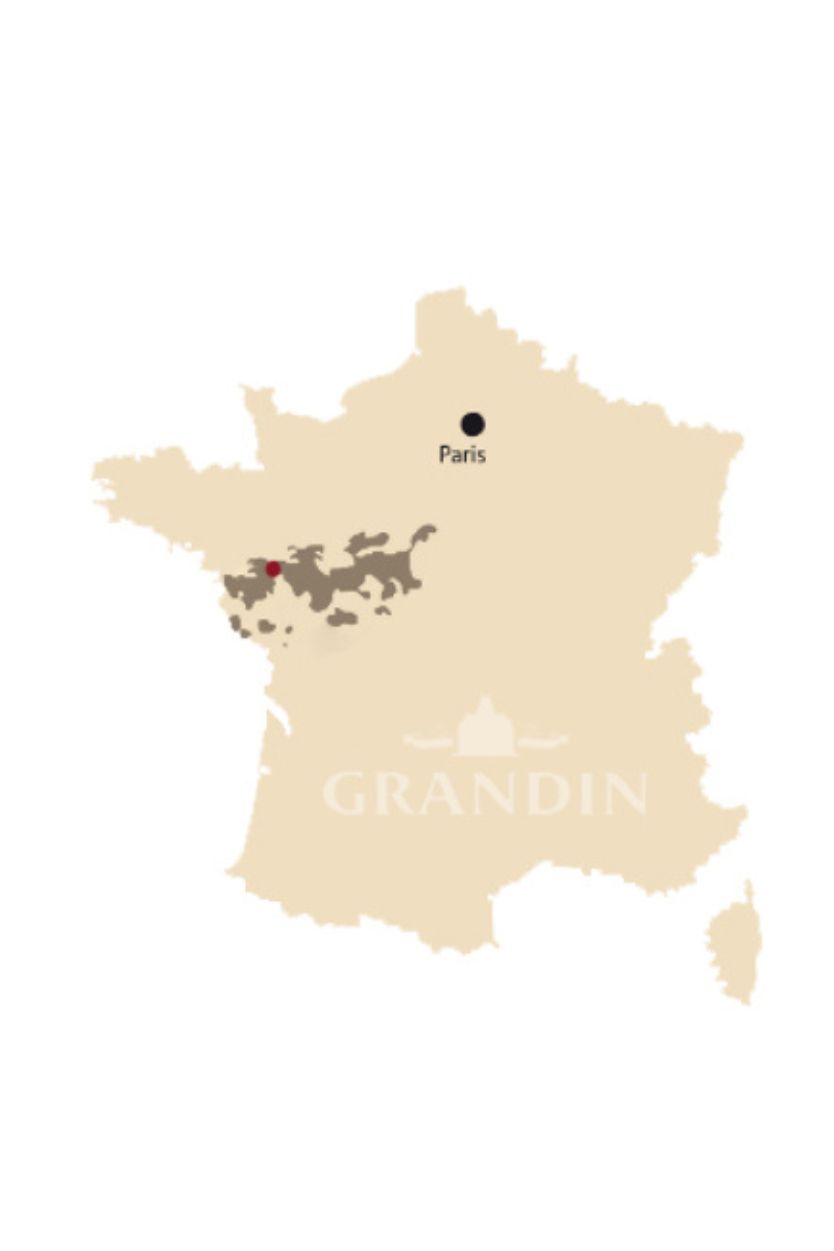 Grandin Rosse Brut Grande Reserve - Imagen 6