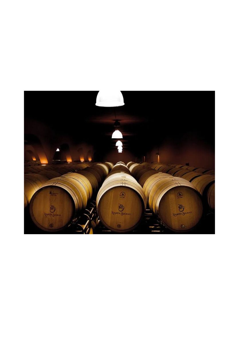 Ramon Bilbao Crianza - Imagen 7