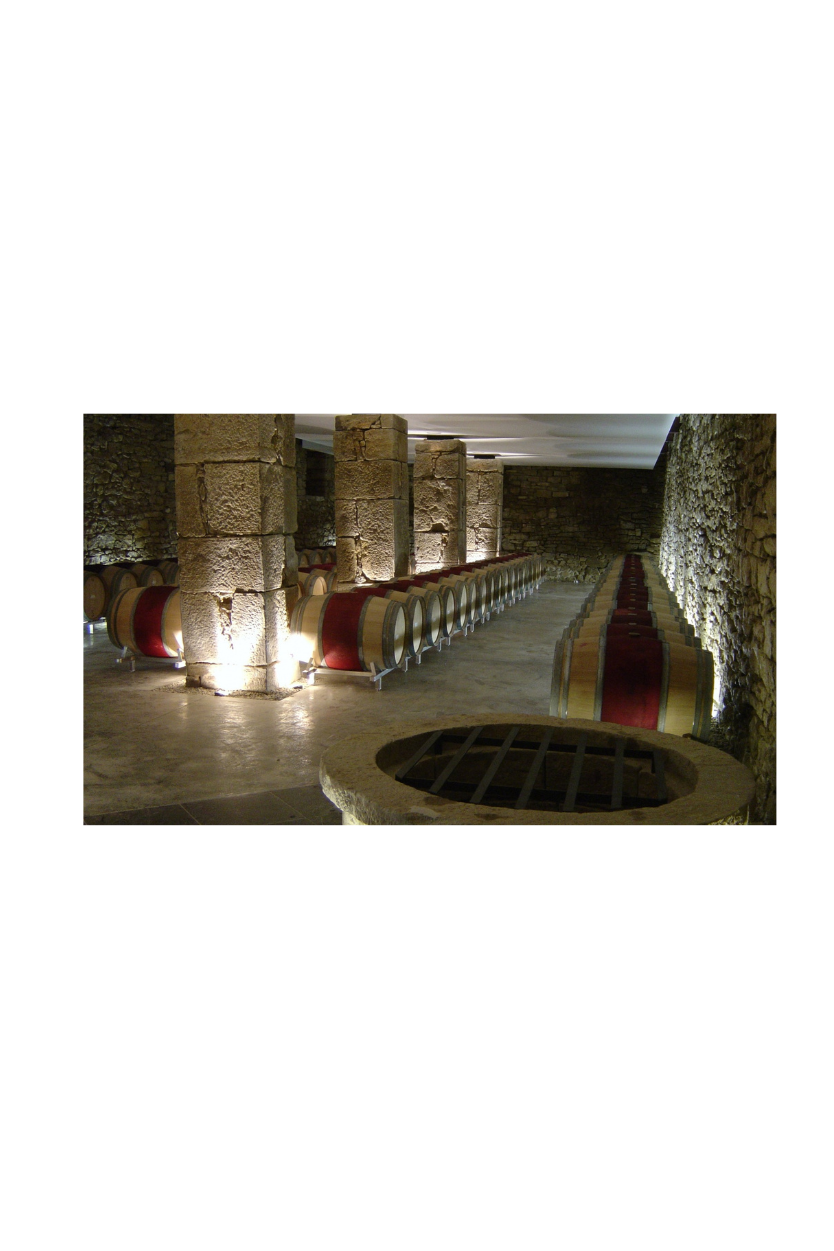 Artadi Viñas de Gain - Imagen 8