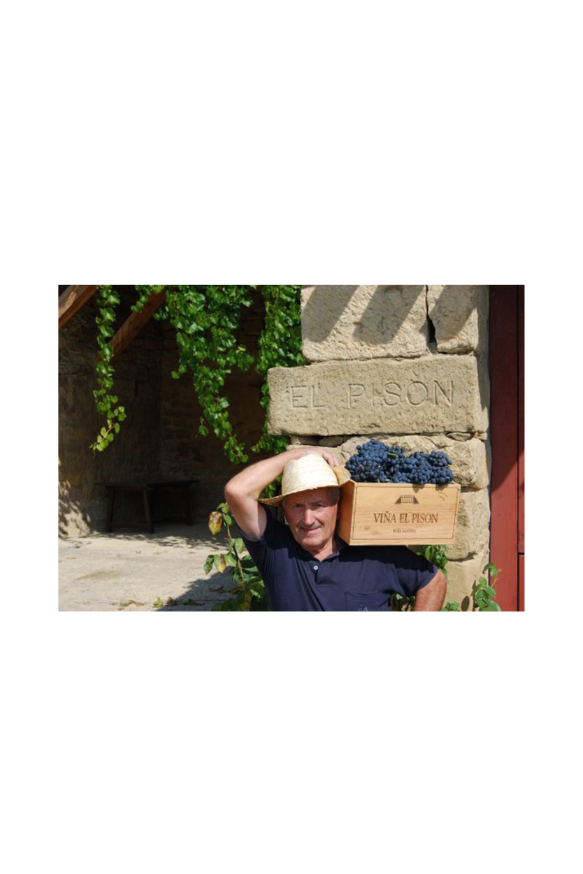 Artadi Viñas de Gain - Imagen 9