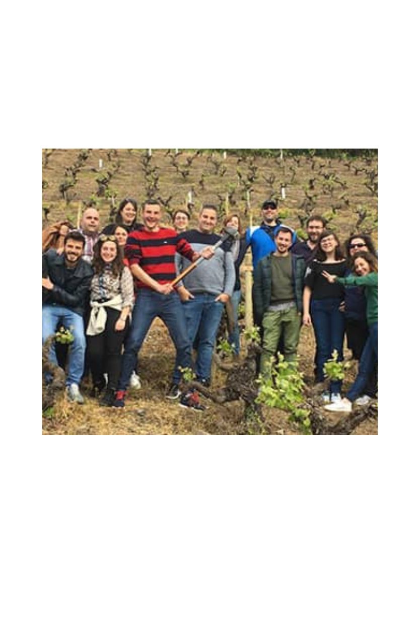 Garnacha Vella da Chaira do Ramiriño - Imagen 6