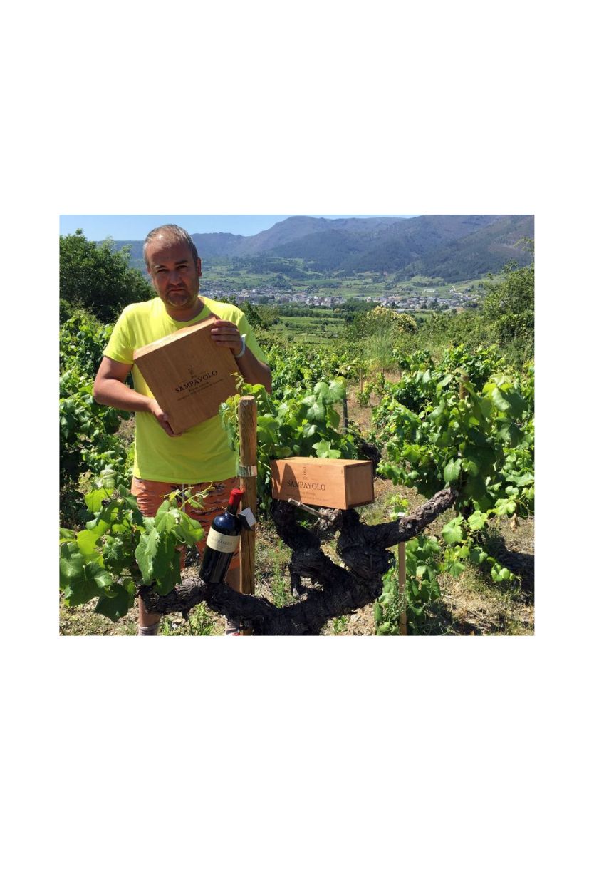 Garnacha Vella da Chaira do Ramiriño - Imagen 5