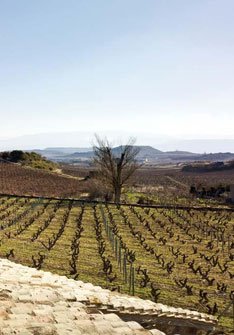 Artadi Viñas de Gain - Imagen 2