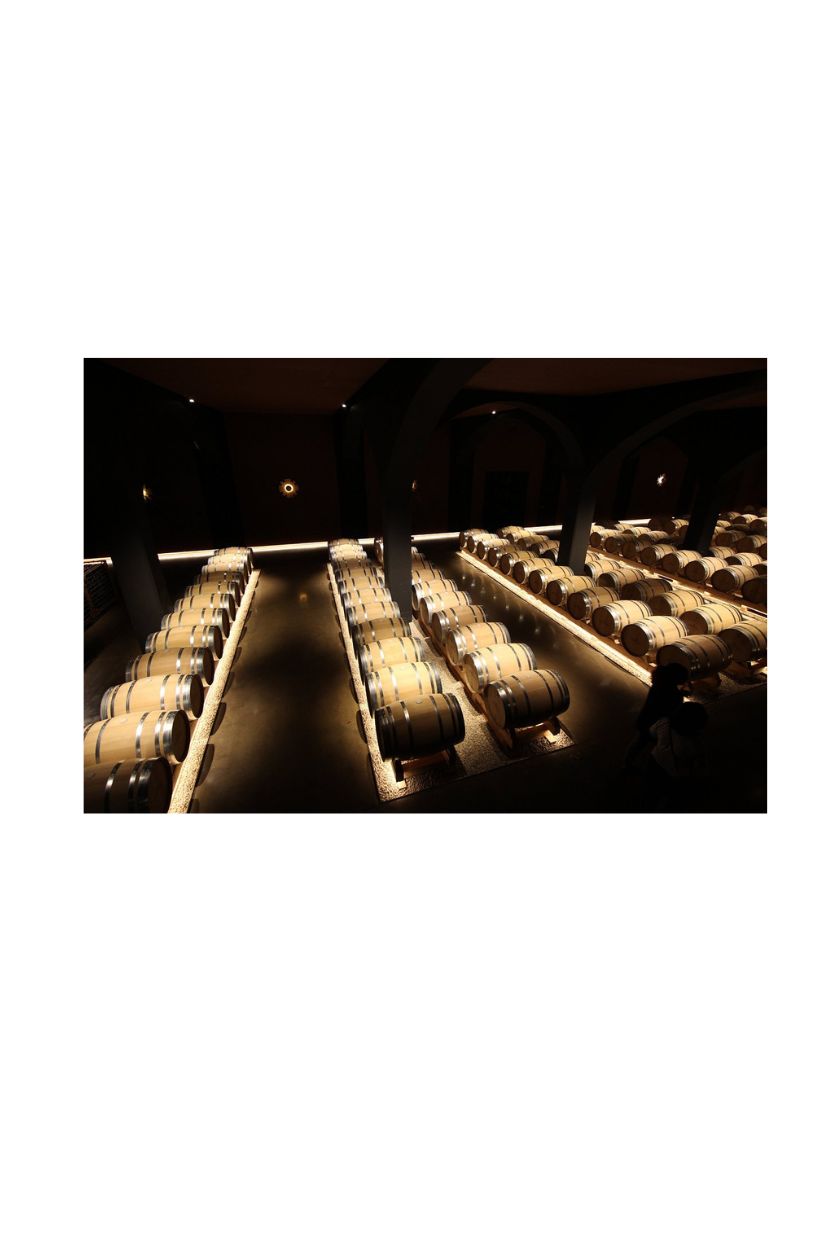 Ramon Bilbao Crianza - Imagen 14