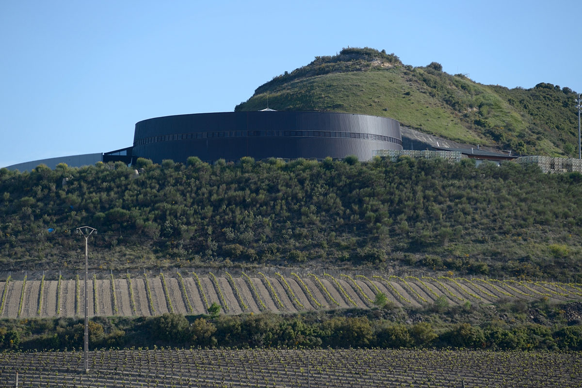 Pagos de Viña Real - Imagen 4