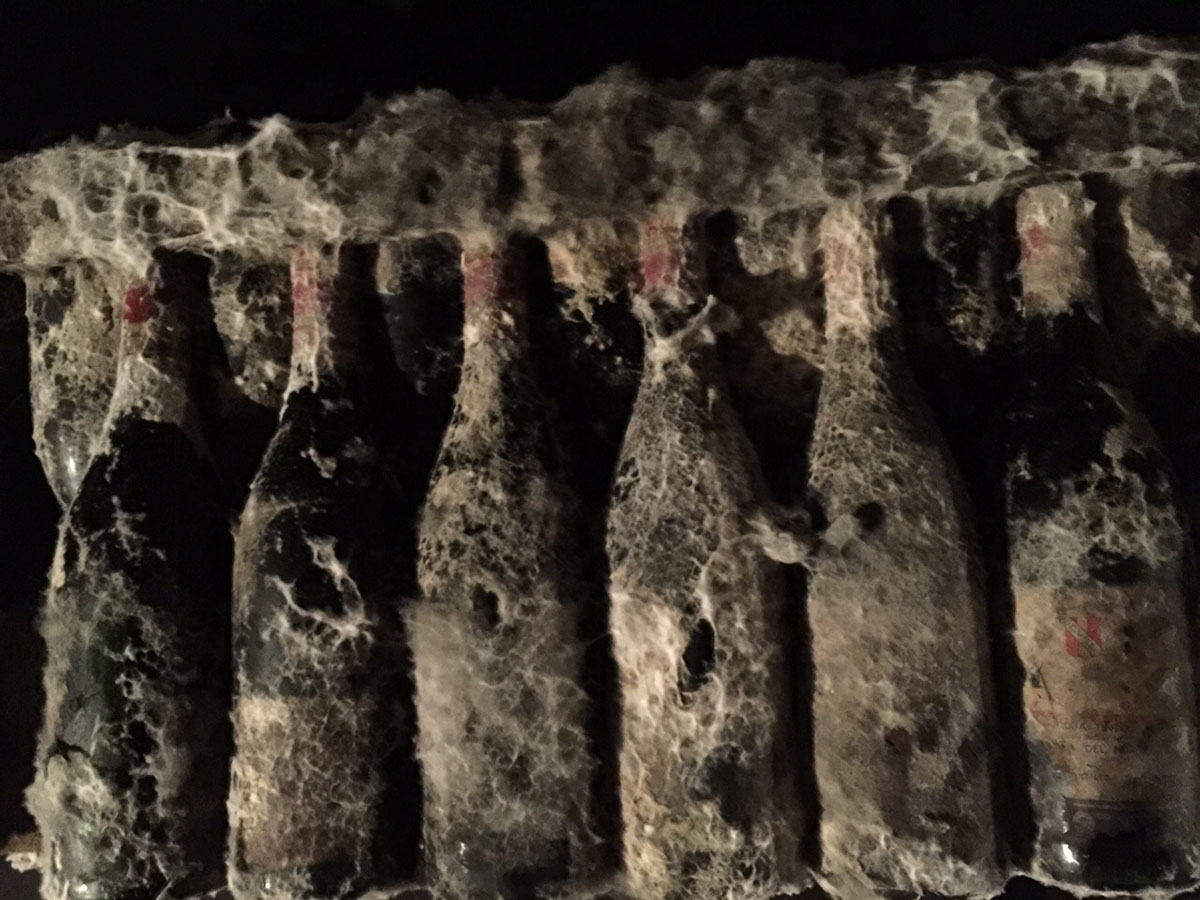 Imperial Reserva - Imagen 5