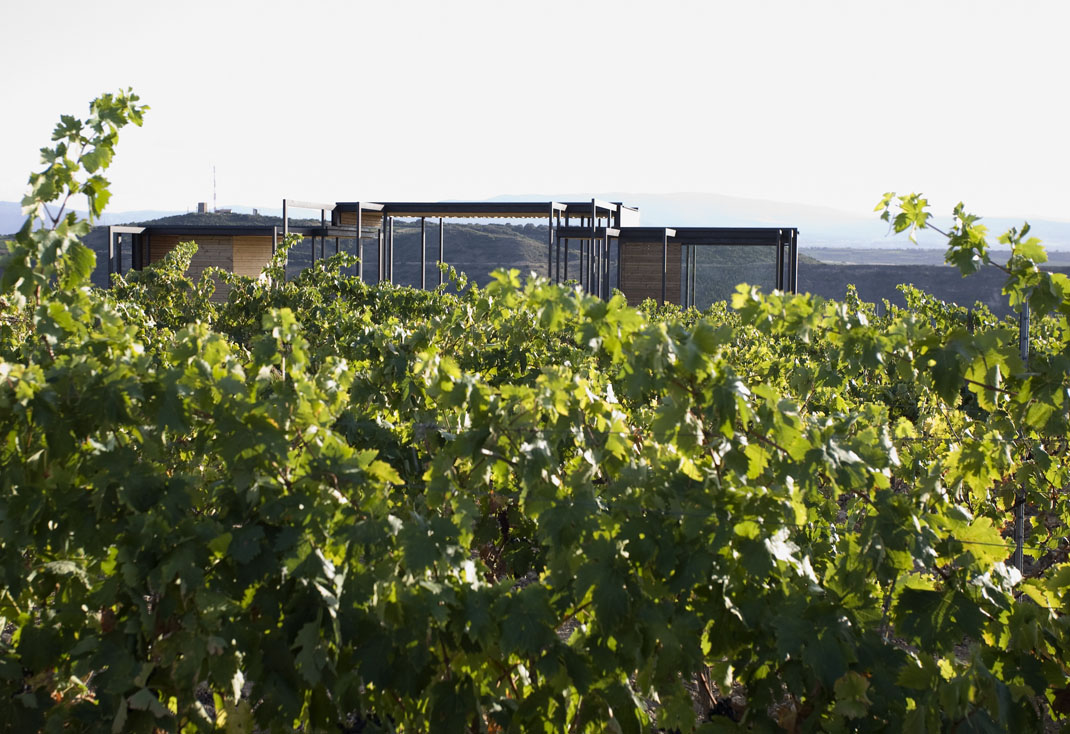 Monopole Rioja - Imagen 7